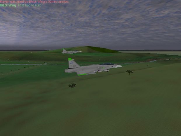 JAS-39 Gripen Flight