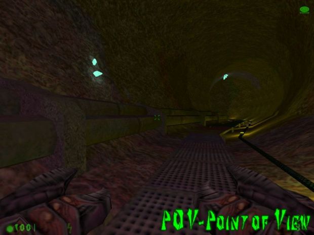 Point of View In-Game Screenshot