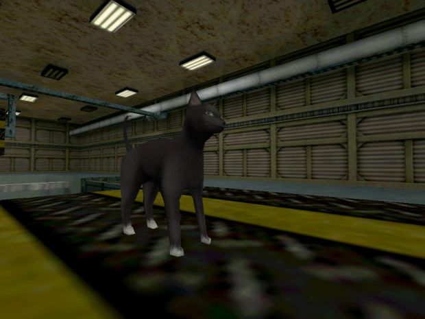 Catlife игра. Half Life Cat. Half Life 2 Cat.