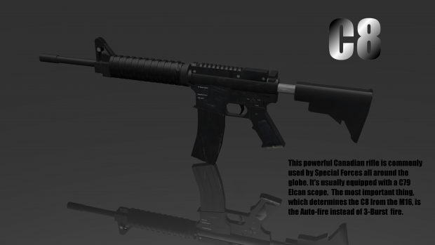 The new rifle C8