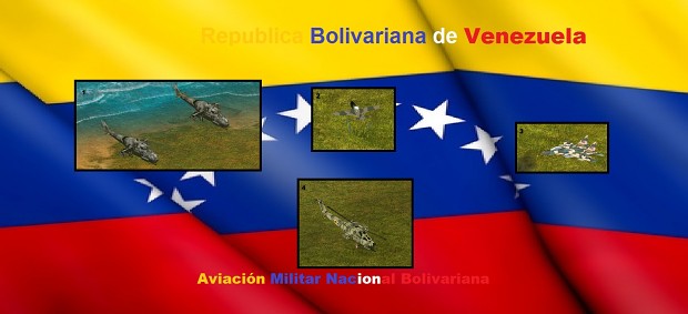 Venezuelan Air Force