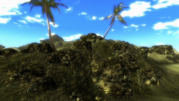 Venora Island Rock and Palm Tests