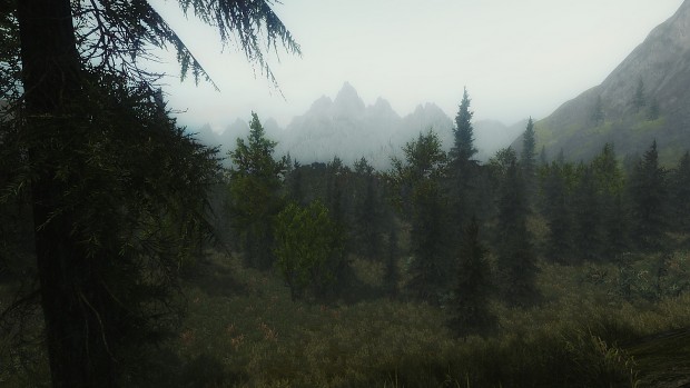 Isengard area (Wizard's Vale)