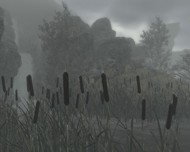 The Dead Marshes