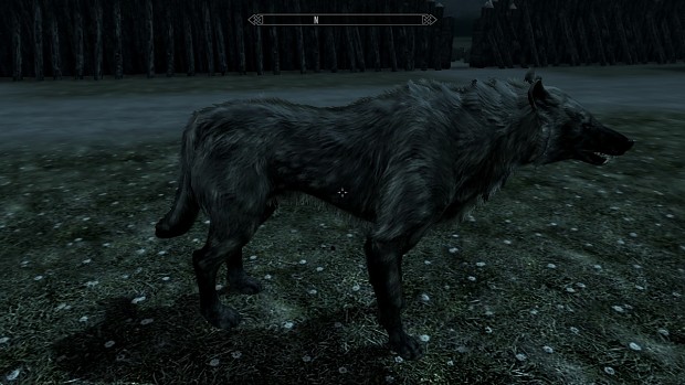 Belgarath in wolf form 01