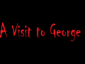 Visit to George