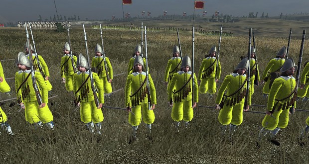Swedish Yellow Regiment (early - next release)