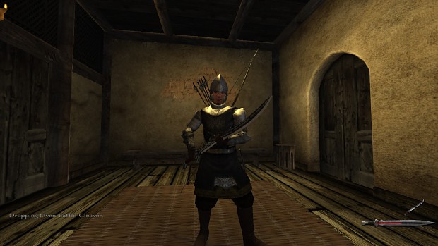 Elven Warrior at a Valesmen tavern
