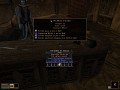 Diablo 2 Based Magic and Unique Items