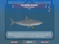 Shark! Hunting the Great White (2001) - MobyGames