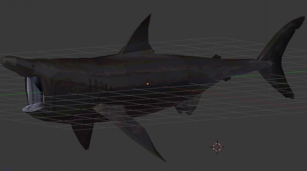 Basking Shark Model