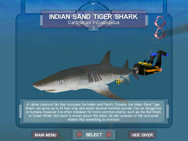 The New Indian Sand Tiger Shark
