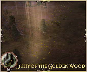 Light of the Golden Wood