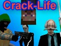 Crack-Life