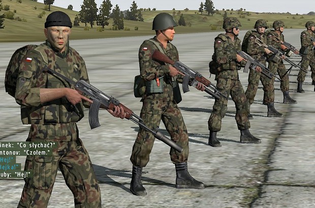 Polish army from addon for Arma2