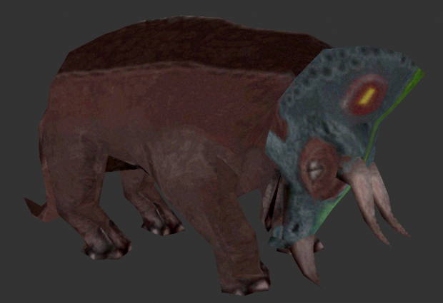 A New Look at Torosaurus
