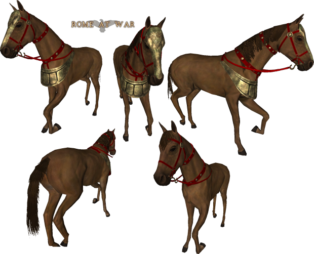 samnite_horse_gear