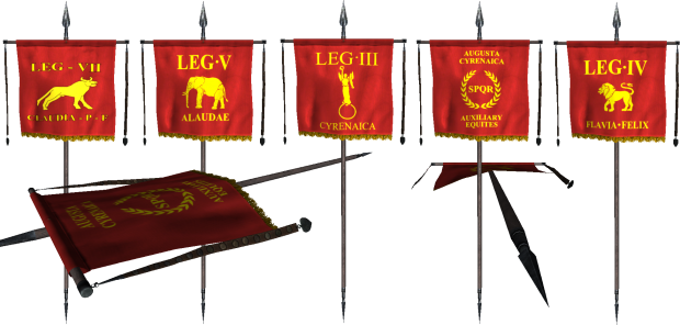 roman flag standards