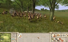 Amazons: Total War - Recalesced