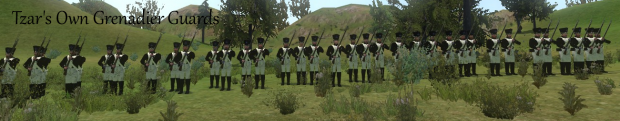 Vaegir Fusiliers and Tzar's Own Grenadier Guards