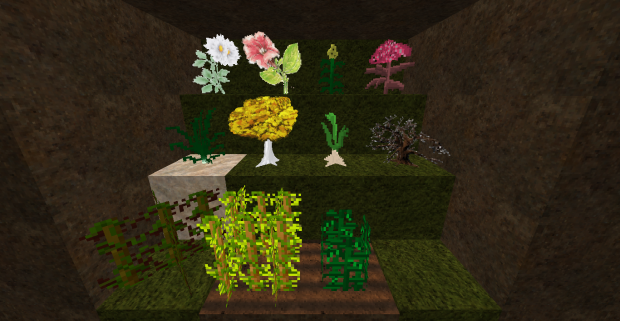plants, flowers & saplings