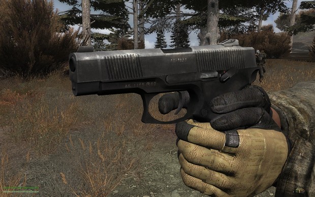 OWR Weapons Addon: MP-443