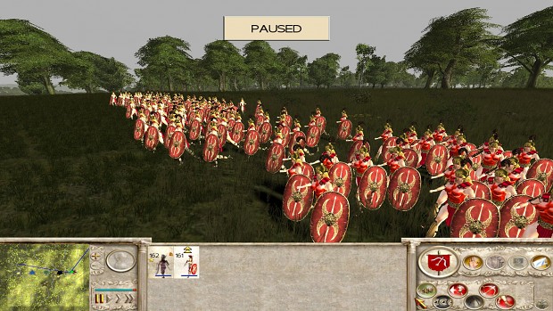 Amazons Total War - Themiskyran Shield Maiden Cohort