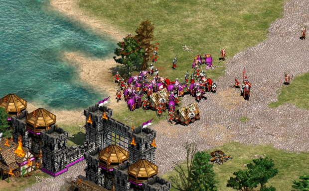 Aoe 2 HD New units and terrain re-skin