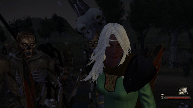 Dark Elven necromancer with undeads servant