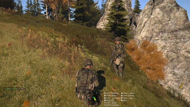 Serbian Armed Forces Multiplayer