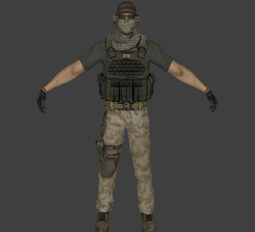 SAS Specialist