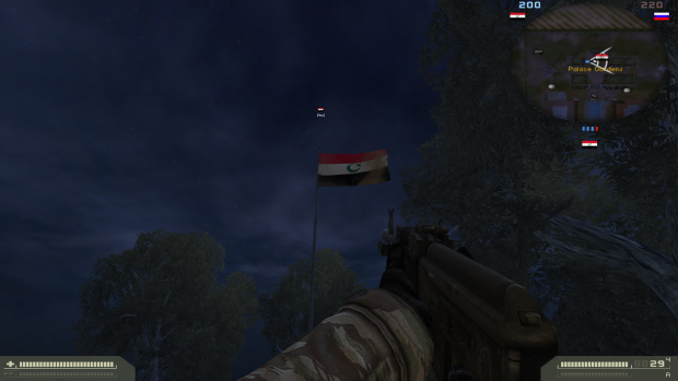 New Flag In-Game