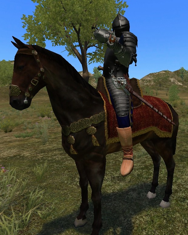 New helmet and elite horse