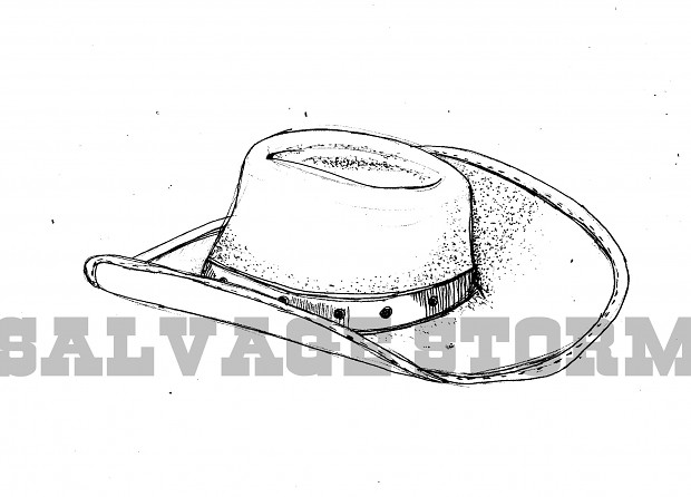 Cowboy Hat illustration