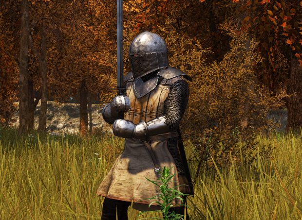 A Knight with Sugarloaf and Western Plate Shoulders