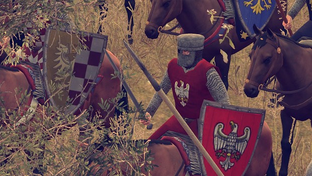 Polish Knights and Officers