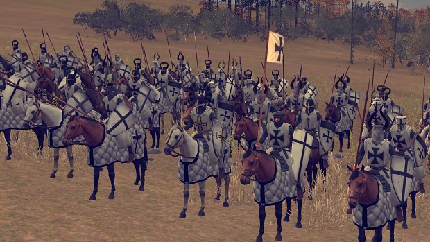 More Teutonic Order Knights