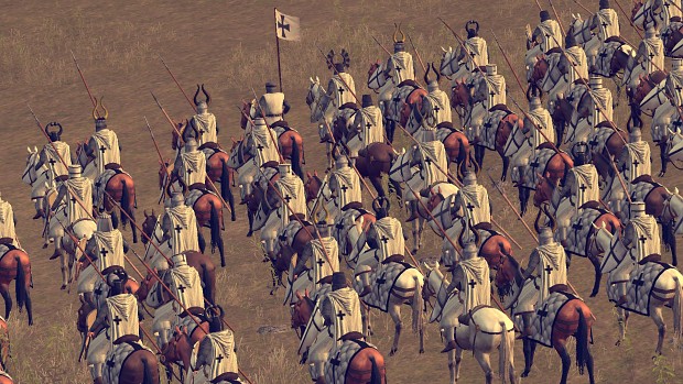More Teutonic Order Knights