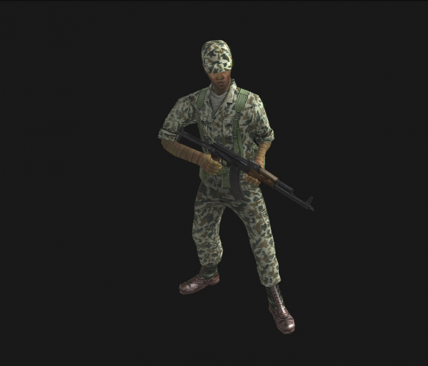 New skin of VN Commandos (dac cong)