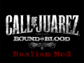 Call of Juarez: Bound in Blood Realism Mod