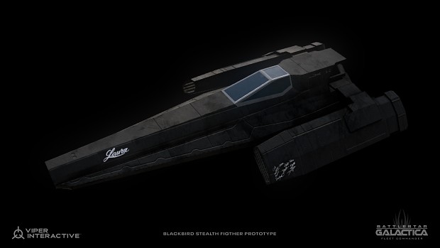 Blackbird Stealth Fighter Prototype