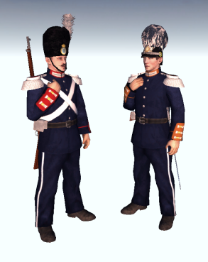 Swedish Life Guard Regiments