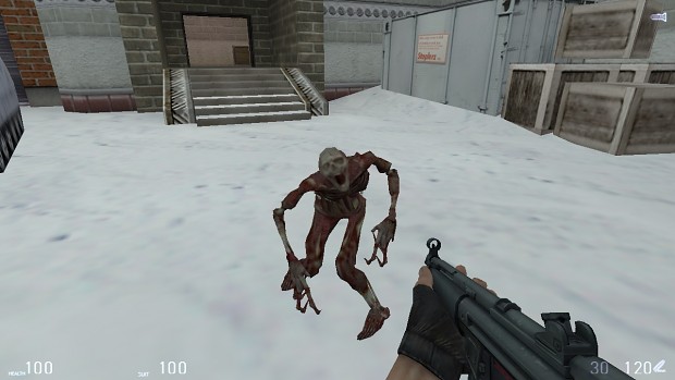 HL2 Fast Zombie