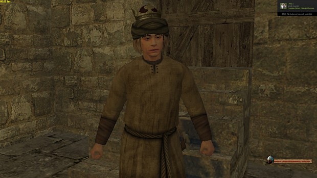 mount and blade leadership
