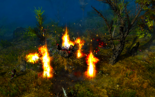ScreenShot - Blurred and Saturated Fire