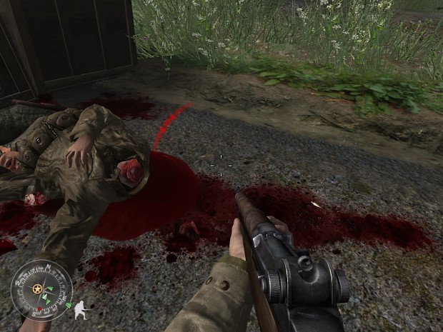 call of duty 2 gore mod