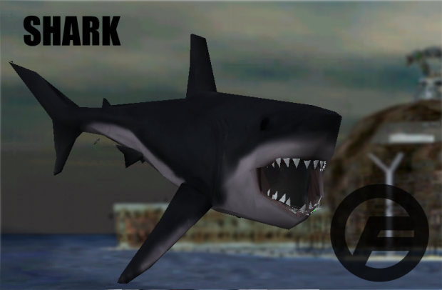 Shark WIP