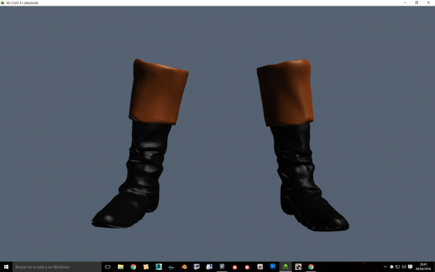 Mounting boots or officer boots