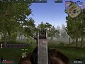 Iron sight [dl moved]