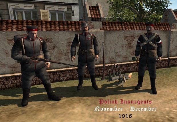 Polish insurgents